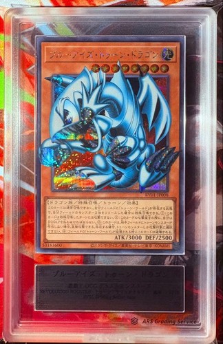 Blue eyes toon - yu-gi-oh!, blue-eyes